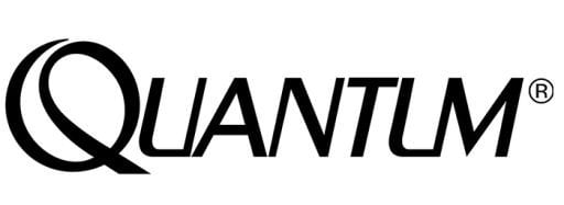 Quantum Logo