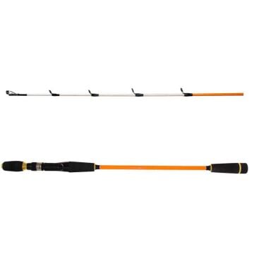 Ryuji Sparrow 170cm 15-200g 2P Bot Olta Kamışı