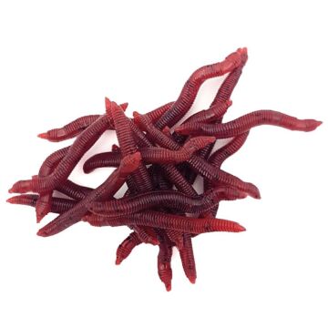 EFFE Muz Aromalı Silikon Solucan Yem 20ad Kırmızı