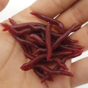 EFFE Muz Aromalı Silikon Solucan Yem 20ad Kırmızı