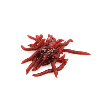 EFFE Muz Aromalı Silikon Solucan Yem 20ad Kırmızı