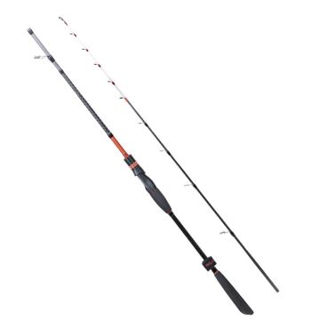 Ryuji Spectra SP 185cm 50-300g 2p Tekne Bot Kamışı