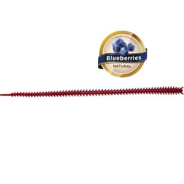 Japanese Ryoshi 12cm Blueberry Aromalı LRF Silikon Yem Kırmızı