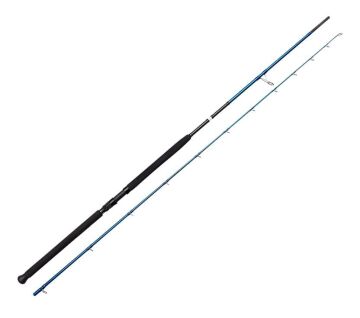 Savage Gear SGS2 Shore Jigging 290cm 20-80g 2P Olta Kamışı