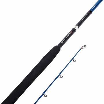 Savage Gear SGS2 Shore Jigging 290cm 20-80g 2P Olta Kamışı