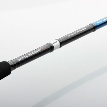 Savage Gear SGS2 Shore Jigging 290cm 20-80g 2P Olta Kamışı