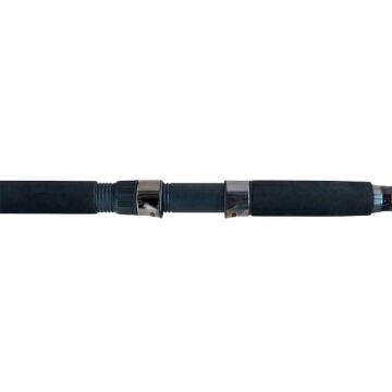 Remixon Monster 400cm 100-200g Tele Surf Kamış