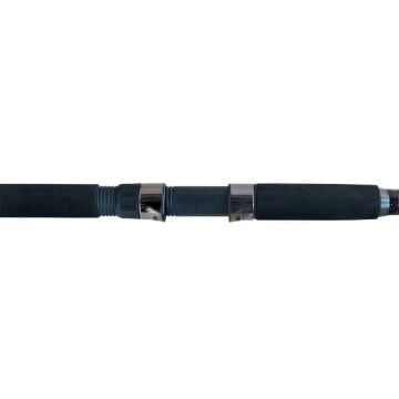 Remixon Monster 400cm 100-200g Tele Surf Kamış