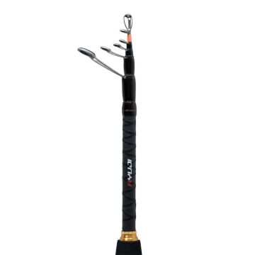 Ryuji Rock Fish 228cm 3-16g Tele Spin Kamış