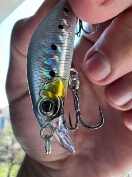 Kendo Chiko Minnow 50mm 5,2g Maket Balık LRF Suni Yem