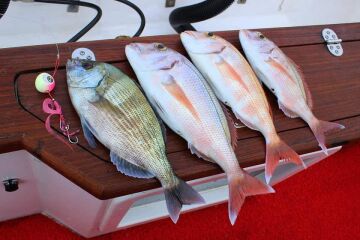 Savage Gear Cuttle Eye 100g Suni Yem Tai Rubber Silikon Jig Yemi