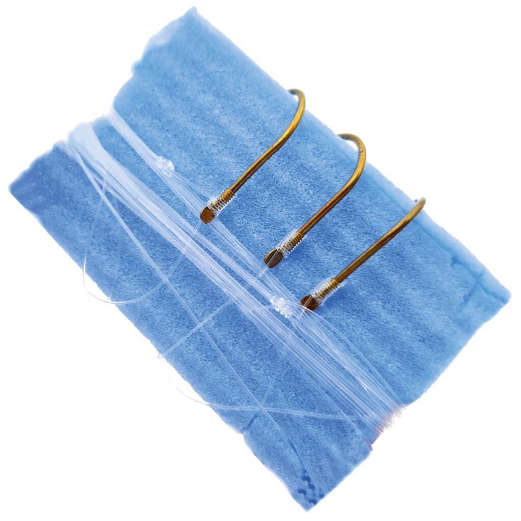 TAMSET 3 İğneli Çupra Mercan Olta Takımı Çipura İğne No:2