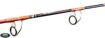 Lineaeffe Aquarex Jig Traction 15kg Jigging Tekne Kamışı